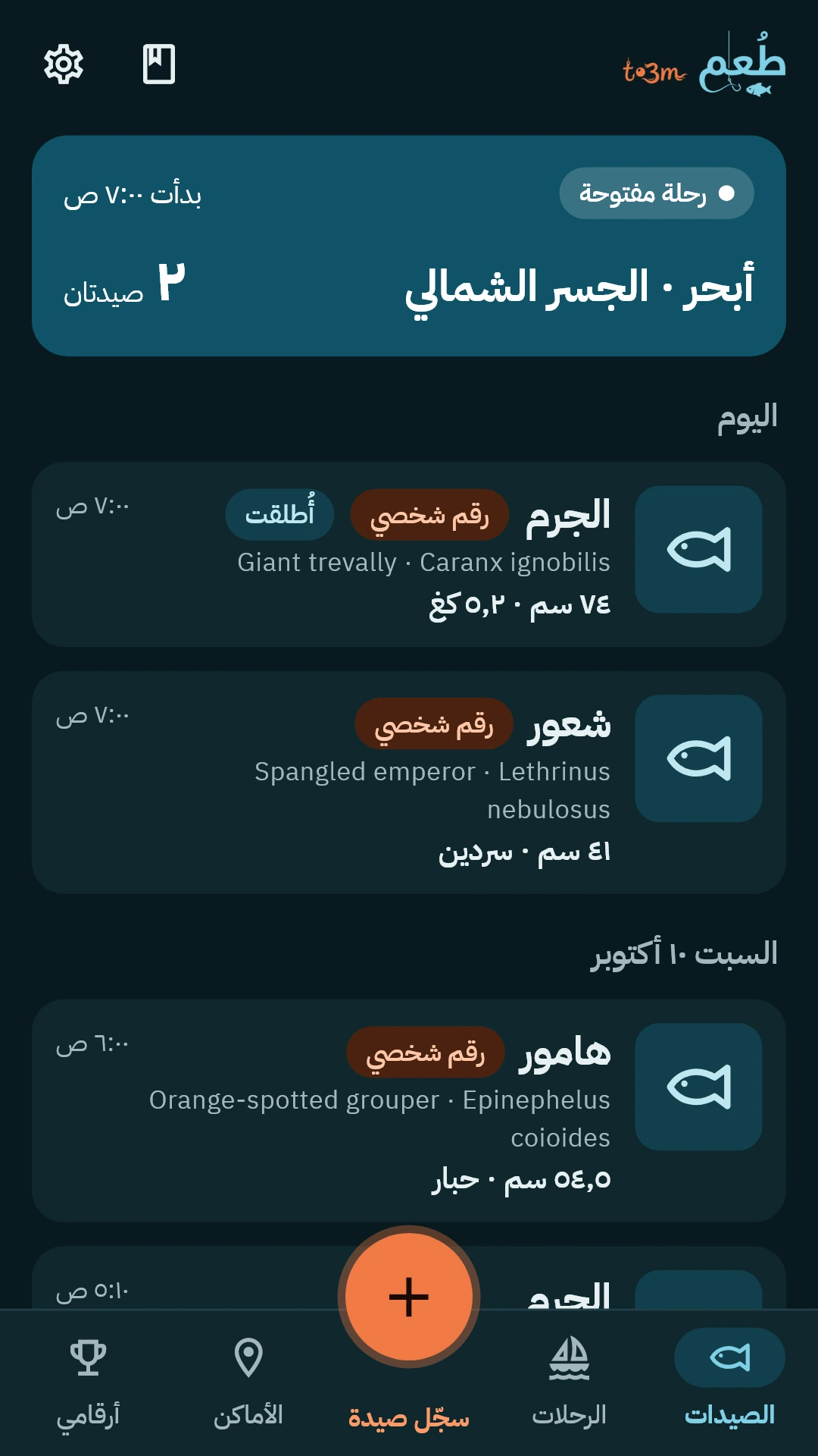 الوضع الليلي